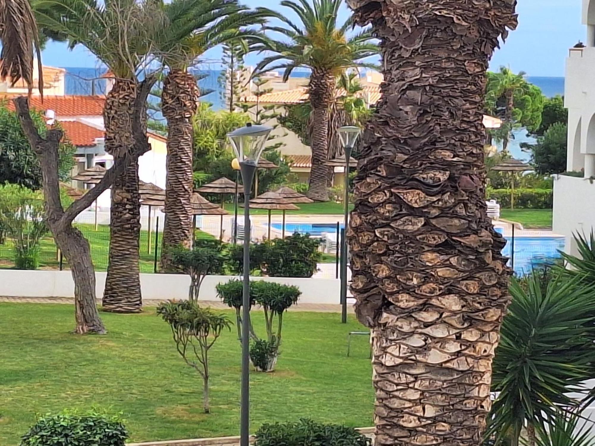 פורצ'ס Palmeira Sol- 2 Bedrooms 300M From The Beach Ocean View מראה חיצוני תמונה